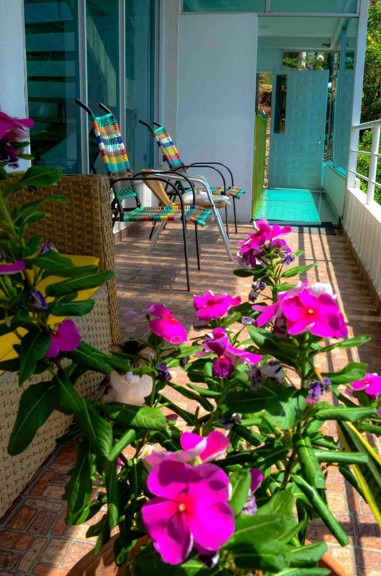 Casa Babel Taganga Hotel Santa Marta  Eksteriør billede